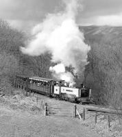 During the early 1980s all three VoR locos had historic liveries applied and, in the case of No. 9 <I>Prince of Wales</I>, it was the original VoR LB&SCR-style yellow, which it received in 1982. Here No. 9 forges uphill between Rhiwfron and Devils Bridge with the 13.45 from Aberystwyth on 2 April 1977.<br><br>[Bill Jamieson 02/04/1977]