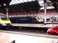 A mid morning view across the blocks at Paddington on 9 August showing most platforms occupied. FGW 43094 and 43092 stand in the foreground, with two more HSTs, plus Heathrow Express, Heathrow Connect and FGW Turbo units also present.<br><br>[David Pesterfield 09/08/2013]