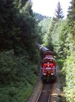 One of the two daily freight trains to Blankenstein approaches Totenfels Tunnel on 8th July 2013. Due to the combination of steep gradients and sharp curvature, the freights are powered by three medium-powered Class 261 diesels - two at the front, and the third banking.<br><br>[David Spaven 08/07/2013]