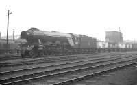 A3 Pacific no 60052 <I>Prince Palatine</I> in the shed yard at Gateshead in October 1962. The locomotive ended its days at St Margarets in January 1966, the last of the A3s to be withdrawn. Disposal took place at the Langloan scrapyard of Messrs McLellan & Co in June that year.<br><br>[K A Gray 20/10/1962]