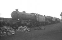 B1 61116 in the sidings at Carstairs in the summer of 1966, with Black 5 44956 standing directly behind. The locomotives were withdrawn from 66E Carstairs shed in June (B5) and July of that year. (Next in line are 44700 and 73078, also July 1966 withdrawals from Carstairs). <br><br>[K A Gray //1966]