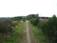 Looking south west about 1 mile from Lonmay station towards Mormond Hill and Strichen in August 2013. Thanks to the vegetation this view has changed considerably over the past 40 years [see image 36072].<br><br>[John Williamson 18/08/2013]