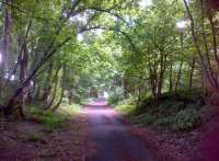 Looking South towards Luton Hoo station from the twin bridges [see image 27004] in the summer of 2013. A sylvan scene on the former GNR, now a very acceptable cyclepath. <br><br>[Ken Strachan 09/08/2013]