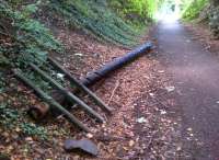 Yes, that's definitely a telegraph pole. Atmospheric detail on the cycle path to Luton [see image 44378].<br><br>[Ken Strachan 09/08/2013]