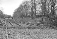 On 11 November 1984 the steel bridge carrying the Edinburgh - Dundee main line over the Fordell Railwaywas removed. View west over the infilled trackbed towards Dalgety Bay, 13 years before work began on the new station there. [See image 33796]<br><br>[Bill Roberton 11/11/1984]