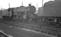 The shed yard at Upperby on 5 August 1960, with Widnes based Stanier 8F 2-8-0 no 48139 one of the guests.<br><br>[K A Gray 05/08/1960]