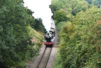 GWR Collett 56xx Class 0-6-2T no 5637 climbing away from the ESR's Mendip Vale Station on 7 September 2013.<br><br>[Peter Todd 07/09/2013]