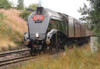 The <I>Cumbrian Mountain Express</I> on 7 September 2013 was hauled by A4 no 60009, <I>Union of South Africa</I>. The tour is seen on the outward leg from Crewe to Carlisle via Stockport, Manchester Victoria, Bolton, Leyland, Blackburn and the S&C approaching Chorley.<br><br>[John McIntyre 07/09/2013]