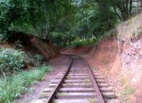 If you go down to the woods today, you may well find the NIRT loop line running round Hunsbury Hill park. Photographs like this are obviously safest on non-operating days.<br><br>[Ken Strachan 06/09/2013]