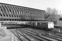 Brush Type 2 No 31 166 and an unidentified classmate bring a train of empty bogie bolster and open low-sided bogie wagons off the York station avoiding line at Holgate Junction in 1980. 'Duchess of Hamilton' can just about be discerned in the background waiting to take out the second of two trips it made that day round the Leeds - Harrogate circuit, its first outing following restoration to main-line running condition.<br><br>[Bill Jamieson 10/05/1980]