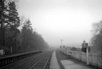 A misty Cumbrian landscape - looking south from the down platform of Kershopefoot station on 3 January 1969, the final Friday of operations over the Waverley route.<br><br>[K A Gray 03/01/1969]