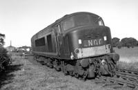 When D181 came to grief at the east of Duns goods yard on the morning of 30th August 1965, more or less in front of my eyes, I had plenty of time to fetch my camera  and get this shot as it waited for the arrival of the breakdown crane from Gateshead. The bright gable end immediately to the left of the loco is the station building on the westbound platform, with the goods shed to its left, while further over is Wilson's granary and the gasworks chimney apparently sticking out of the roof.<br><br>[Bill Jamieson 30/08/1965]