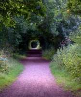 Attractive colours and a 'tunnel' effect on the GNR trackbed north of the site of Harpenden East station in August 2013.<br><br>[Ken Strachan 09/08/2013]