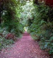 This attractive path runs parallel to the NIRT route [see image 44567], and would appear to be the trackbed of another ironstone line.<br><br>[Ken Strachan 06/09/2013]