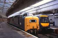 Deltic<I>Royal Scots Grey</I>rests atAberdeen's Platform 2 on 15thSeptember after arrival at the head of a charter train. The 12.47 ScotRail service toEdinburghstands alongside.<br><br>[David Spaven 15/09/2013]