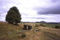 One of the rare stretches of straight track on the Waverley Route, looking north towards the Minto Hills (by Hassendean) on 9th August 2013.<br><br>[David Spaven 09/08/2013]