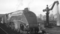 The 1.30pm Aberdeen - Glasgow Buchanan Street about to restart from the Stirling stop on 18 October 1965. The locomotive is A4 Pacific no 60024 <I>Kingfisher</I>.<br><br>[K A Gray 18/10/1965]