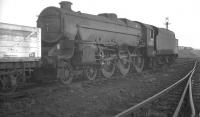 Stanier Black 5 4-6-0 no 45067 photographed on Crewe South shed on the first day of October 1961.<br><br>[K A Gray 01/10/1961]