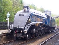 A4 Pacific no 60007 <I>Sir Nigel Gresley</I> photographed alongside platform 2 at Grosmont on 5 October 2013 during the North Yorkshire Moors Railway's <I>LNER Gala</I> weekend.<br><br>[Colin Alexander 05/10/2013]