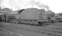 The busy shed yard at Doncaster in October 1962. Locomotives present include (left to right) 9F 2-10-0 92169, O2 2-8-0 63968, A1 Pacific 60122 <I>Curlew</I> and WD Austerity 2-8-0 90096.<br><br>[K A Gray 07/10/1962]