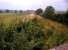 Looking south west towards Thrapston on the Peterborough to Northampton line, a little South of Barnwell, in July 2013 [see image 43909]. This must have been a wonderful viewpoint in steam days. The colours remind me of Kodachrome.<br><br>[Ken Strachan 21/07/2013]