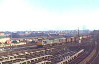 A Class 25 rolls into Southport with a trip working in February 1980. The first four vehicles are gunpowder vans that will be dropped off at Gathurst exchange sidings on the return journey. The rest of the train is made up of hoppers for the Coal Concentration Depot in the background. [See image 35064] for the same scene today. <br><br>[Mark Bartlett /02/1980]