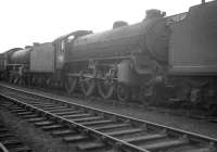 Scene in the stored locomotive sidings at Bathgate in the autumn of 1964, with B1 4-6-0 no 61242 <I>Alexander Reith Gray</I> in the lineup. The B1 had been withdrawn from 64C Dalry Road shed in July that year [see image 28887].<br><br>[K A Gray //1964]