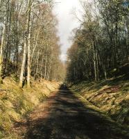 Heading out of Killin near the Falls of Dochart in March 2010. This part of the trackbed is cycleable, but rather uphill. There's a pile of concrete sleepers hereabouts - I'm sure they'd let you take as many as you can carry!<br><br>[Ken Strachan 17/03/2010]