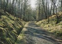 A nice bit of light and shade on a cool spring day near Killin in March 2010. Ambient temperature was 10 degrees C, but it had recently been down to minus 17. The lochs were still frozen, but creaking ominously as they thawed!<br><br>[Ken Strachan 17/03/2010]