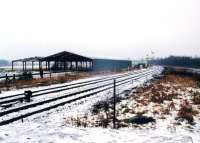 This partly built shed was part of an ambitious plan to offer steam locomotive servicing at the South end of the S&C. It was completed and still stands, and has been used for railway work; but I have yet to hear of anything arriving by rail, let alone steam engines. View looks North, more or less, at the end of 2005.<br><br>[Ken Strachan 30/12/2005]