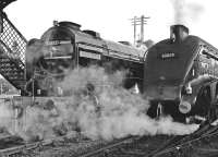 Photograph taken during the SRPS Gala on 24 October 1993. A2 60532 <I>Blue Peter</I> and A4 60009 <I>Union of South Africa</I> stand side by side at Boness station.<br><br>[Peter Todd 24/10/1993]