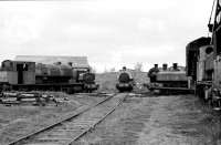 Acollection of industrial locomotives on the Tanfield Railway at Marley Hill in May 1993.<br><br>[Peter Todd /05/1993]