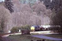 A class 31 approaching Eggesford station, Devon, in 1986 with a train of cement empties. The train is on its way from Barnstaple to Westbury.<br><br>[Ian Dinmore //1986]