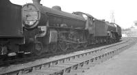 B1 61099 in the sidings at Canal shed on 7 June 1962. A St Margarets locomotive at that time, the B1 was eventually withdrawn from Thornton Junction in September 1966.<br><br>[K A Gray 07/06/1962]
