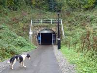 View along the former S&D trackbed (now the <I>Two Tunnels</I> cycle path) on 11 November towards the north portal of Devonshire Tunnel. [See image 37041]<br><br>[John Thorn 11/11/2013]