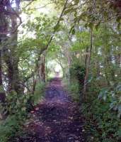 Another view of the charming, but little known, trackbed footpath heading North from Sandside [see image 44097]<br><br>[Ken Strachan 29/07/2013]