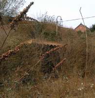 A lamppost and passenger shelter (on the Bewdley platform) are just visible through the undergrowth at Newnham Bridge in April 2013. Their preservation owes much to this station's previous role as a garden centre [see image 42713].<br><br>[Ken Strachan 07/04/2013]