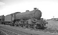 B1 61308 stands in the sidings at Thornton Junction in the summer of 1966.<br><br>[K A Gray //1966]