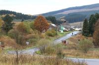 Looking north towards the former Kielder Forest station in November 2013. The trackbed to the left has become heavily overgrown since closure [see image 27306] although little has changed significantly around here in the past sixty-odd years - with the exception of the number of trees and the volume of water.<br><br>[John Furnevel 05/11/2013]