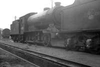 Snow-plough fitted J38 0-6-0 no 65922 in the yard at St Margarets in the spring of 1964.<br><br>[K A Gray 28/03/1964]