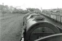 Looking along a line of stored steam locomotives towards Carstairs shed on the last day of August 1963. Photographed from the tender of Stanier Pacific 46232 <I>Duchess of Montrose</I> with sister locomotive 46231 <I>Duchess of Atholl</I> next in line. Both had been withdrawn from 66A Polmadie the previous December.<br><br>[John Robin 31/08/1963]