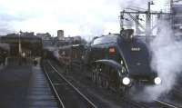 Gresley A4 60019 <I>Bittern</I> prepares to leave Glasgow's Buchanan Street station on 3 September 1966 with the last BR scheduled A4 hauled service to Aberdeen. The special had been arranged to mark the end of the swansong years of the A4 Pacifics on the 3-hour expresses.<br><br>[John Robin 03/09/1966]