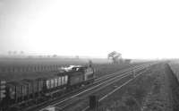 With fog hanging over the north east coast, Blyth based J27 0-6-0 no 65825 clatters through Little Benton on the northern approach to Newcastle with a mineral train in January 1966. The J27 was finally withdrawn from Blyth (North) shed in June of that year.<br><br>[K A Gray 31/01/1966]