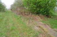 Remains of a platform at Blackston Junction in 1997. This was the junction for the lines north to Bo'ness and south to Bathgate. View is west towards Avonbridge.<br><br>[Ewan Crawford 03/05/1997]