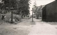 An undated photograph showing the old station at Dinas Mawddwy, terminus of the former Mawddwy Railway. The station closed to passengers in 1931, with the branch from the Cambrian at Cemmes Road closed in 1951. [Ref Query 6964]<br><br>[Ewan Crawford Collection //]