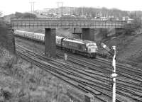 Peak No. 45025 (D19) passes under Newstead Lane Bridge between Normanton station and Goose Hill Junction at 12:45 on Saturday 12th February 1977. I have been unable to reconcile the time with any booked up working in the public timetable for 1976-77but it is possible the train is a Leeds United - Derby Footex (Leeds won 1-0).<br>
<br><br>[Bill Jamieson 12/02/1977]
