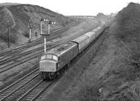 The marker lights on Peak 45059 (D98)<I>Royal Engineer</I>,headingthe 10:12 Newcastle to Cardiff,glow brightly despite it being around noon, so Saturday 12th February 1977 was obviously a typical gloomyWest Ridingwinter's day! The train has just negotiated the reverse curves around the wide island platform at Normanton.<br><br>[Bill Jamieson 12/02/1977]