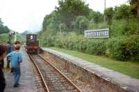 A reception committee awaits the arrival of no 323 at Horsted Keynes in July 1971. <br><br>[John Thorn /07/1971]