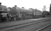 Locomotives in the shed yard at March, Cambridgeshire, on a Sunday morning in May 1962, with Retford (Thrumpton) O2 2-8-0 no 63976 in the centre of the picture. [Ref query 11742]<br><br>[K A Gray 06/05/1962]