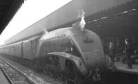 A4 Pacific no 60034 <I>Lord Faringdon</I> photographed shortly after arrival at Buchanan Street on 3 September 1965 with the 7.10am from Aberdeen.<br><br>[K A Gray 03/09/1965]